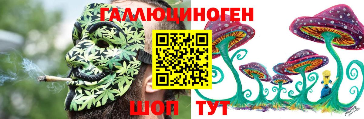 Псилоцибиновые грибы Cubensis  Вход с VPN  Жуковский 